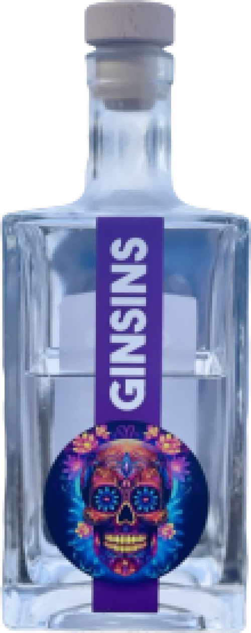 Ginsins