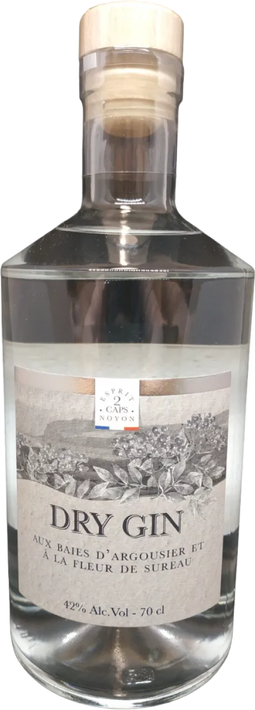 ESPRIT 2CAPS Dry Gin baies d’argousier et à la fleur de sureau